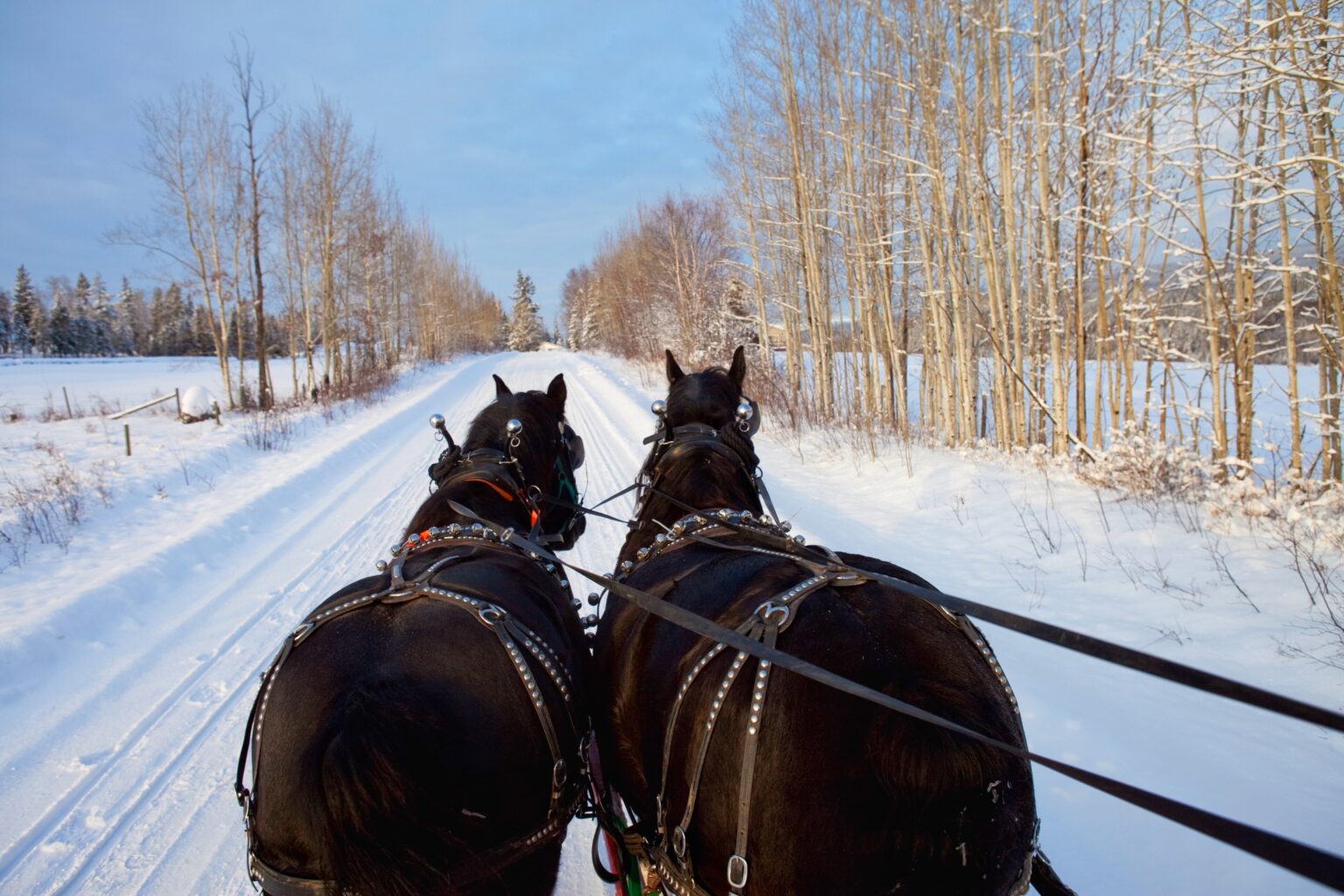 Winter Activities | Parade Rest Guest Ranch